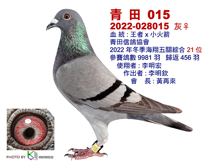 21_青田2022冬-37-12x15-1張.jpg