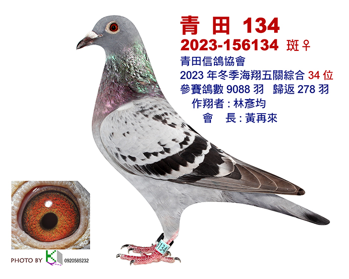 34-青田2023冬-34-12x15-1張.jpg